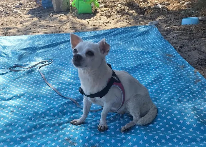 Apartment Studio_suite05 *